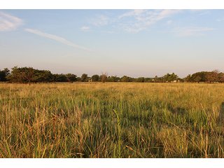 Tract 4 - LAND AUCTION - 440+/- Acres offered in 15 Tracts in Tulsa County